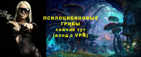 mdpv Армянск