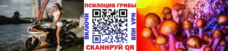 Псилоцибиновые грибы Magic Shrooms  Междуреченск 